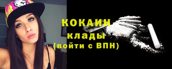 тгк Дмитровск