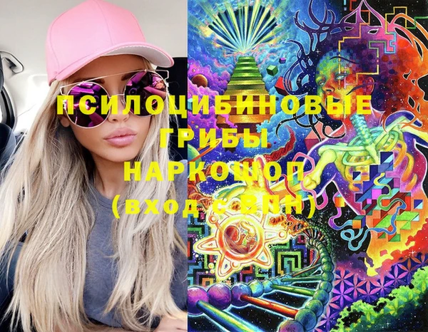 тгк Дмитровск