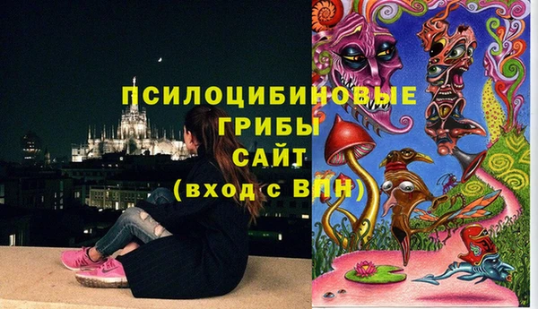 стафф Дмитров