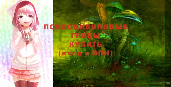 стафф Дмитров