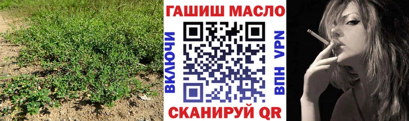 ТГК концентрат закладки Исилькуль