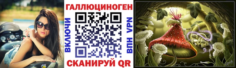 Псилоцибиновые грибы Psilocybe Исилькуль